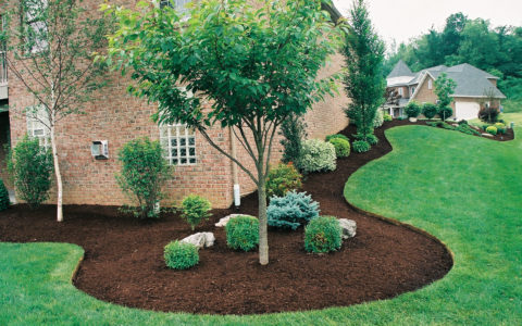 Click to view more about Landscaping Services