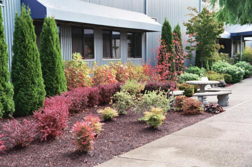 Read more: Landscaping Design & Install